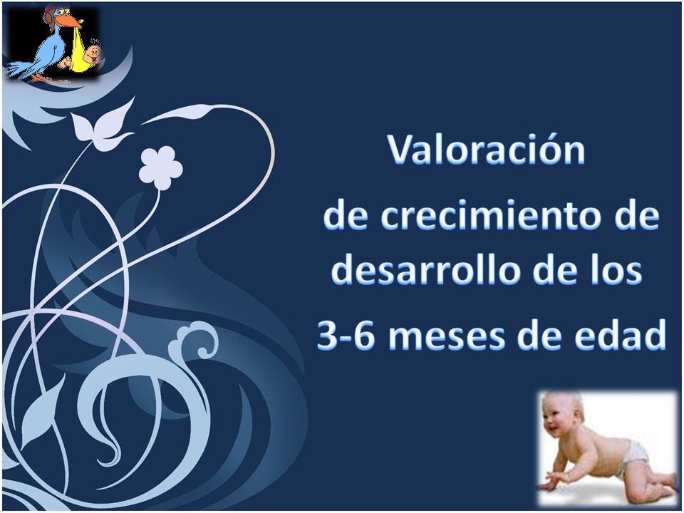Valoración de crecimiento de desarrollo de los 3-6 meses de edad