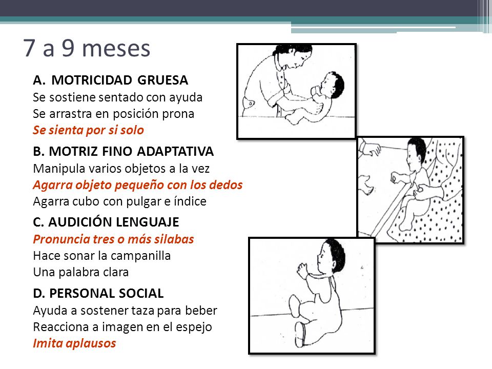 7 a 9 meses MOTRICIDAD GRUESA B. MOTRIZ FINO ADAPTATIVA