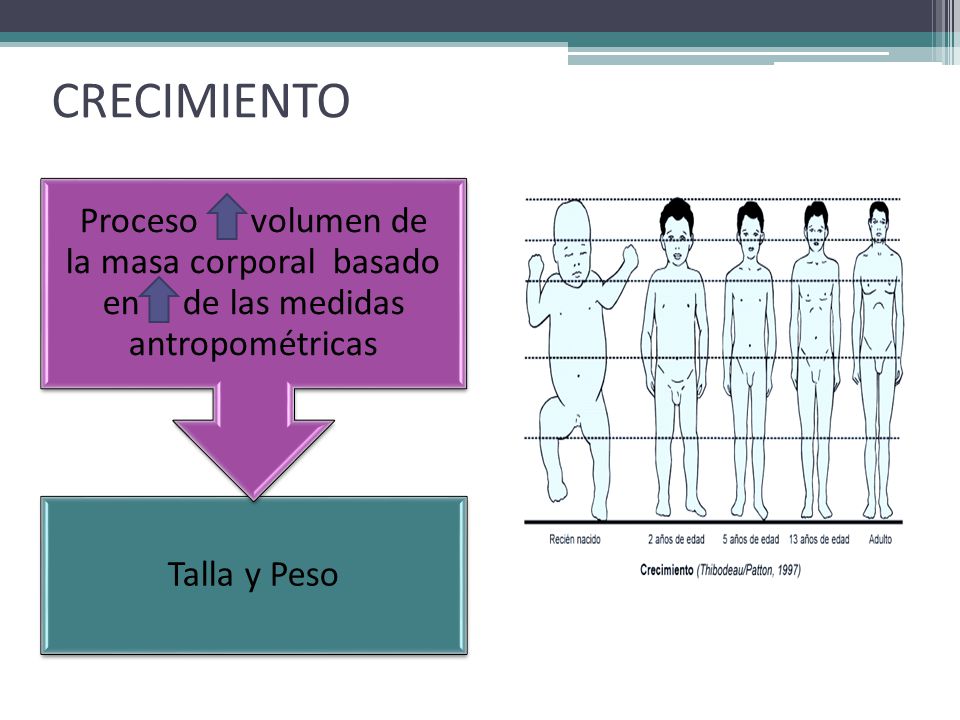 CRECIMIENTO Proceso volumen de la masa corporal basado en de las medidas antropométricas.