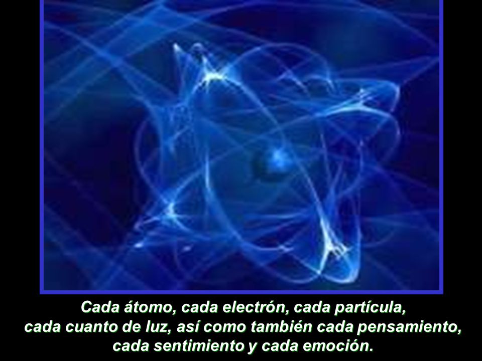 Cada átomo, cada electrón, cada partícula, cada cuanto de luz, así como también cada pensamiento, cada sentimiento y cada emoción.