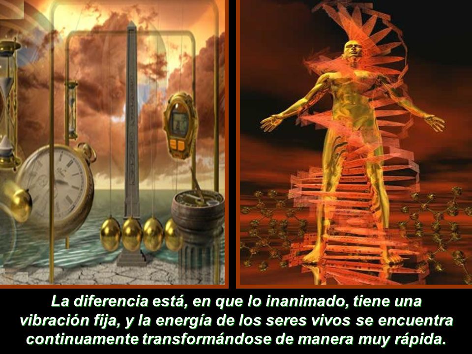 La diferencia está, en que lo inanimado, tiene una vibración fija, y la energía de los seres vivos se encuentra continuamente transformándose de manera muy rápida.