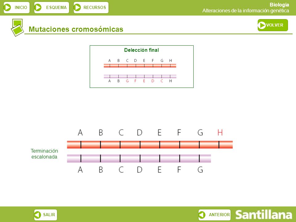 Terminación escalonada