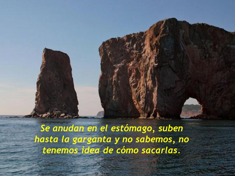Se anudan en el estómago, suben hasta la garganta y no sabemos, no tenemos idea de cómo sacarlas.