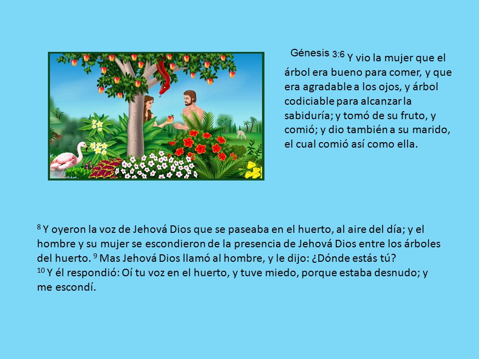 Génesis 3:6 Y vio la mujer que el árbol era bueno para comer, y que era agradable a los ojos, y árbol codiciable para alcanzar la sabiduría; y tomó de su fruto, y comió; y dio también a su marido, el cual comió así como ella.