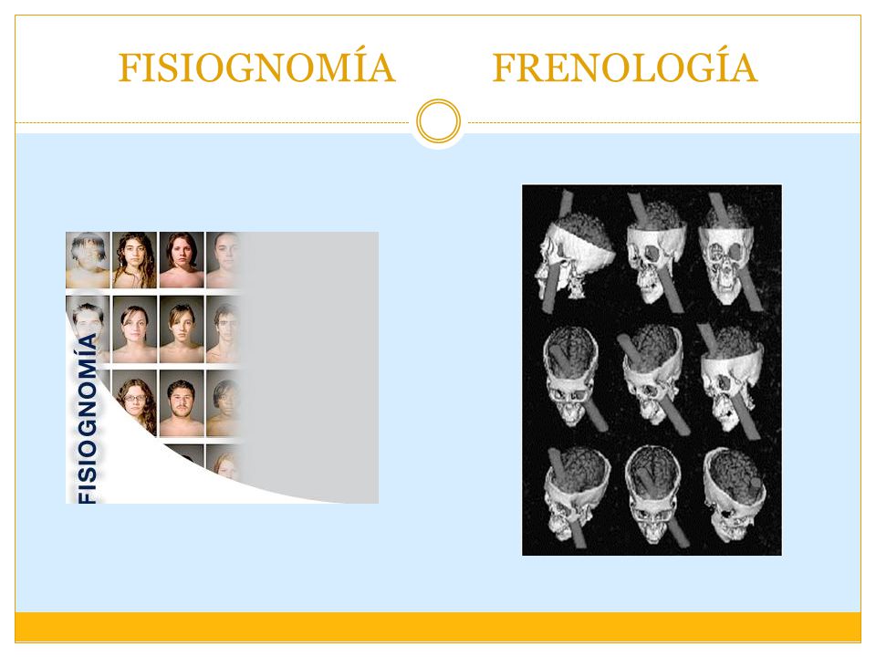 FISIOGNOMÍA FRENOLOGÍA