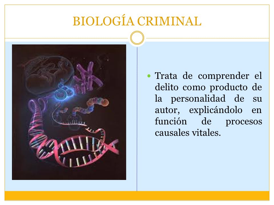 BIOLOGÍA CRIMINAL Trata de comprender el delito como producto de la personalidad de su autor, explicándolo en función de procesos causales vitales.