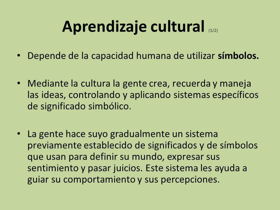 Aprendizaje cultural (1/2)