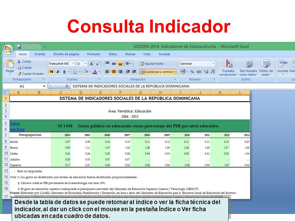 Consulta Indicador