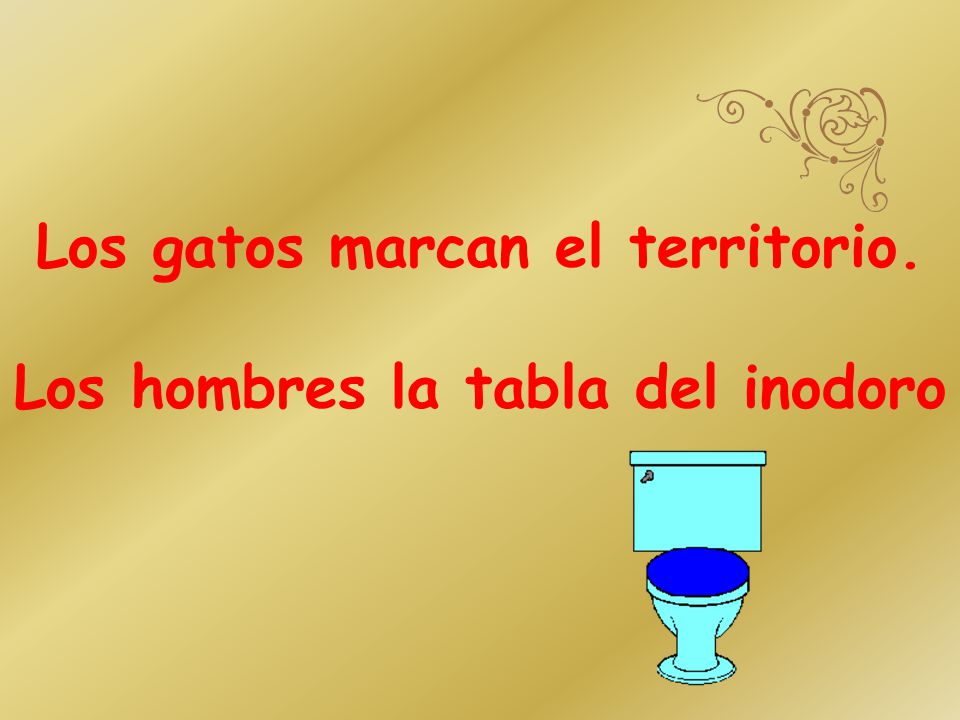 Los gatos marcan el territorio. Los hombres la tabla del inodoro