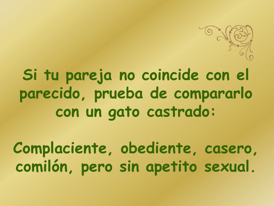 Si tu pareja no coincide con el parecido, prueba de compararlo con un gato castrado: Complaciente, obediente, casero, comilón, pero sin apetito sexual.