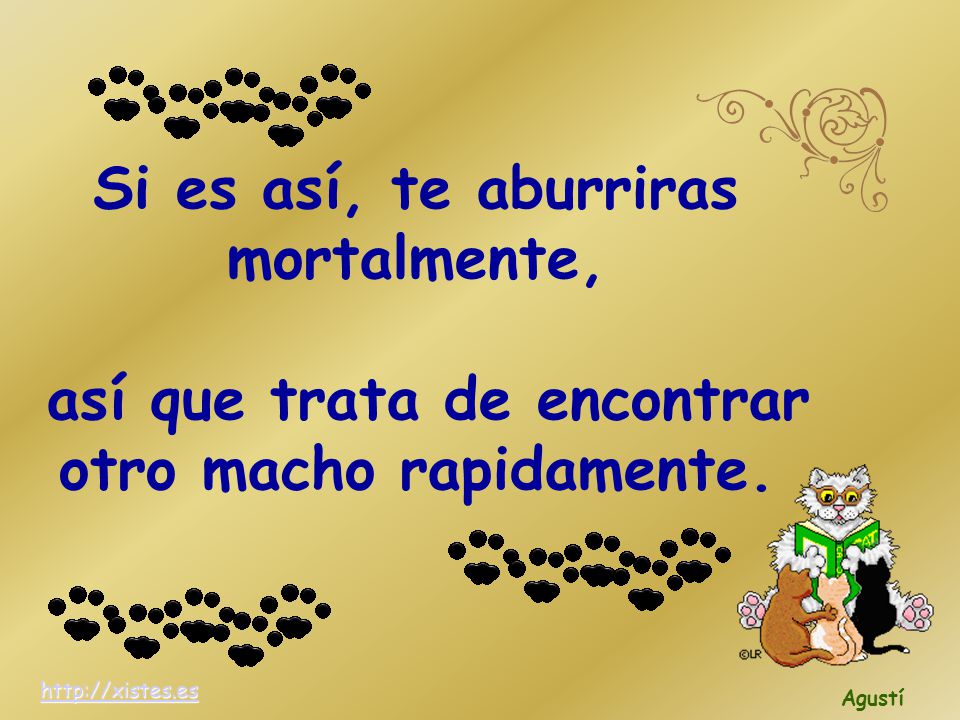 Si es así, te aburriras mortalmente, así que trata de encontrar otro macho rapidamente.