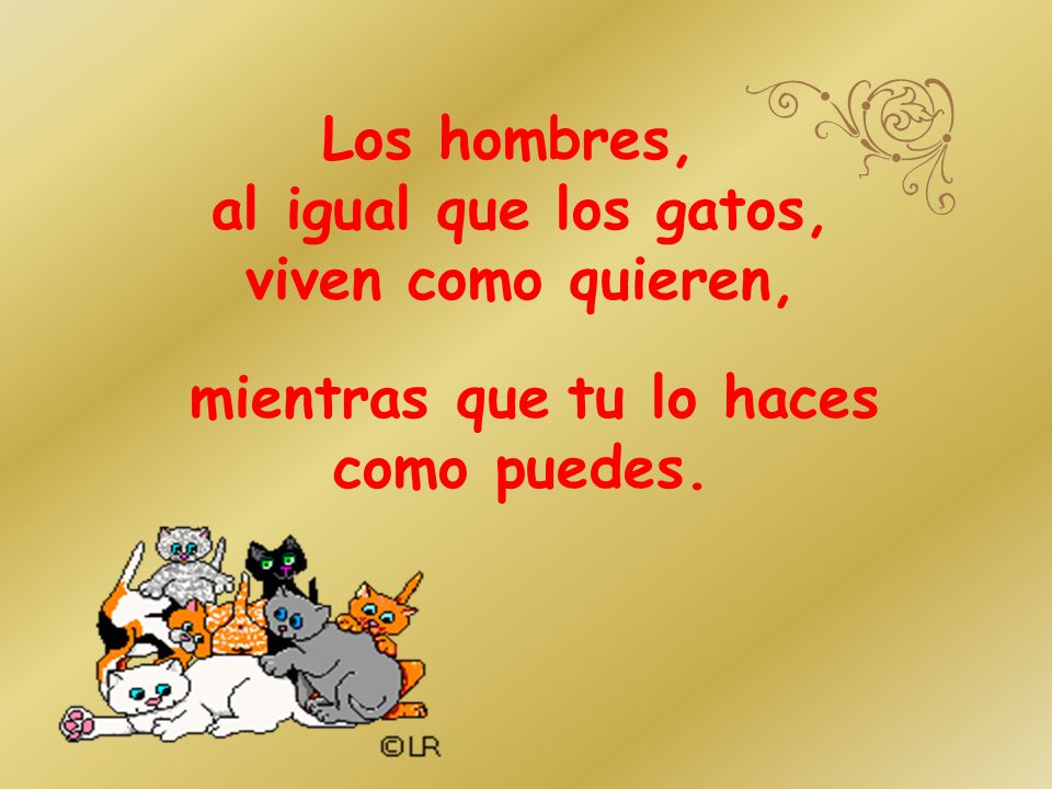 Los hombres, al igual que los gatos, viven como quieren, mientras que tu lo haces como puedes.