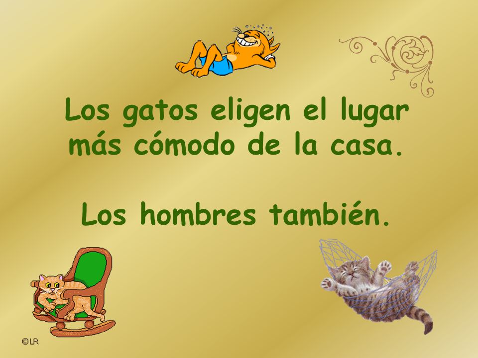 Los gatos eligen el lugar más cómodo de la casa. Los hombres también.