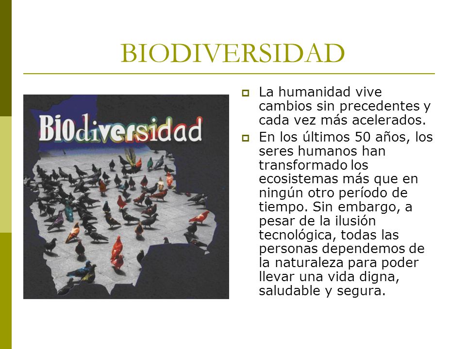 BIODIVERSIDAD La humanidad vive cambios sin precedentes y cada vez más acelerados.