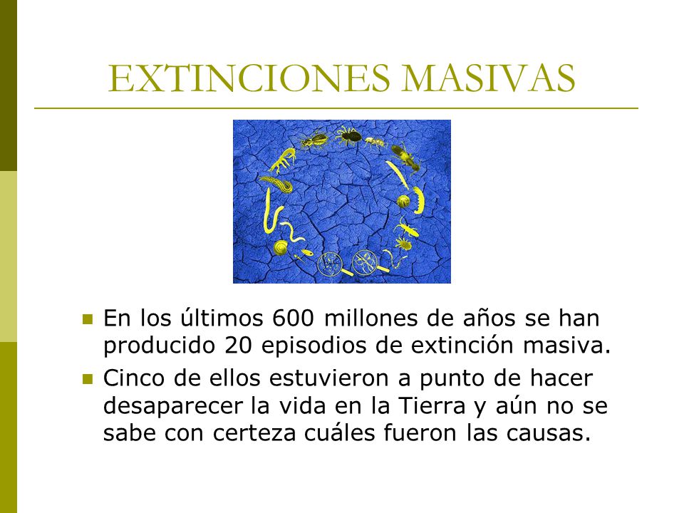 EXTINCIONES MASIVAS En los últimos 600 millones de años se han producido 20 episodios de extinción masiva.