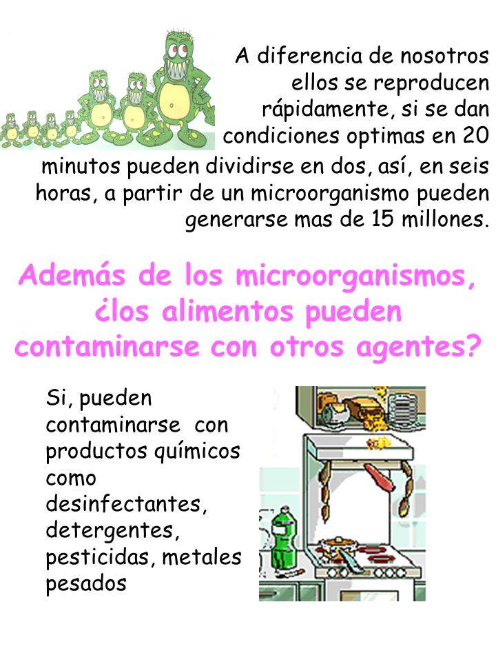 A diferencia de nosotros ellos se reproducen rápidamente, si se dan condiciones optimas en 20