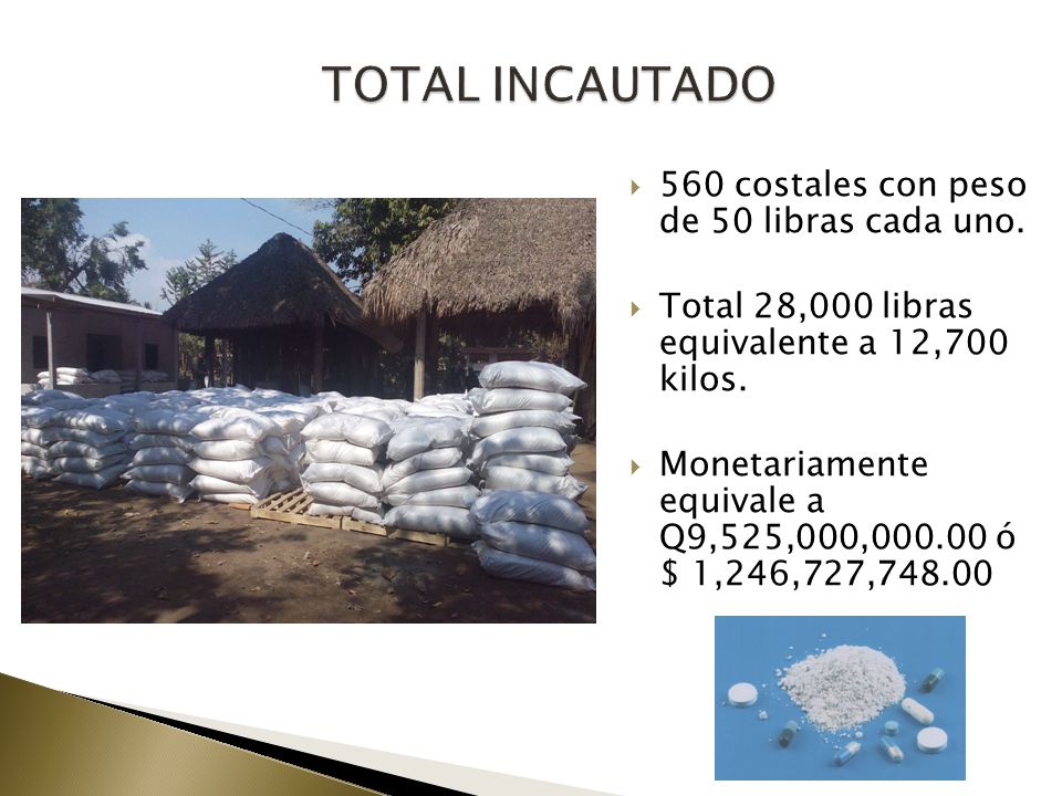 TOTAL INCAUTADO 560 costales con peso de 50 libras cada uno.
