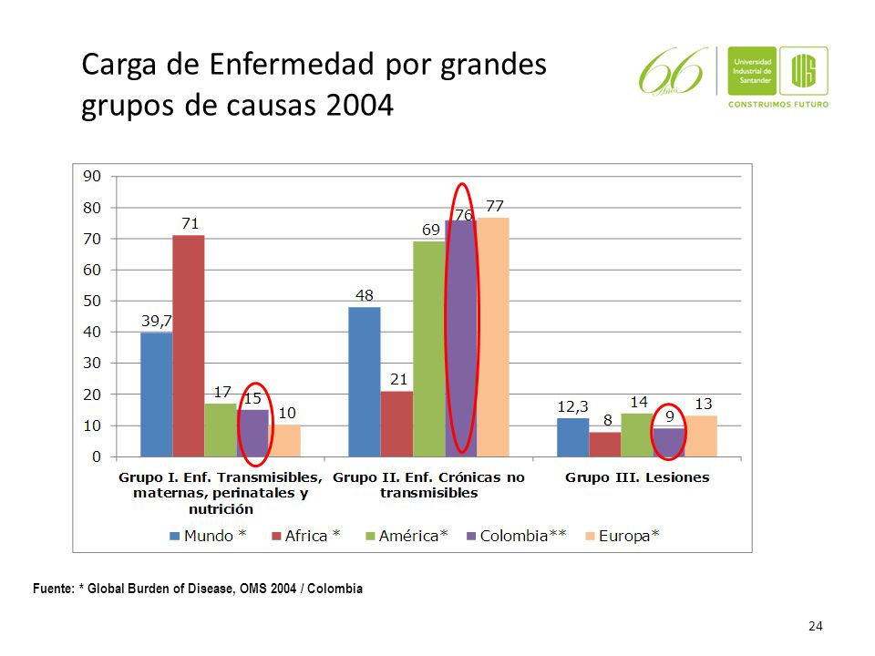 Carga de Enfermedad por grandes grupos de causas 2004