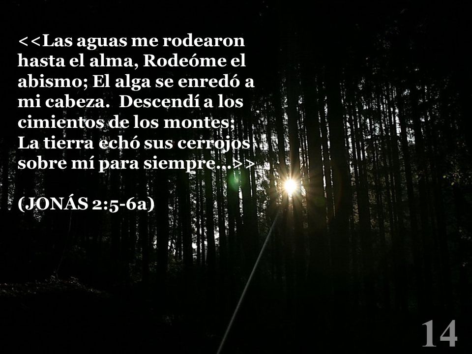 <<Las aguas me rodearon hasta el alma, Rodeóme el abismo; El alga se enredó a mi cabeza. Descendí a los cimientos de los montes; La tierra echó sus cerrojos sobre mí para siempre...>>