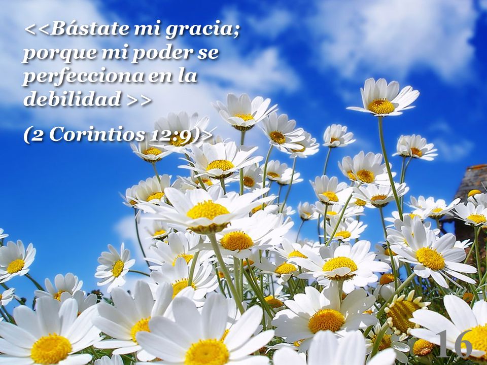 <<Bástate mi gracia; porque mi poder se perfecciona en la debilidad >>