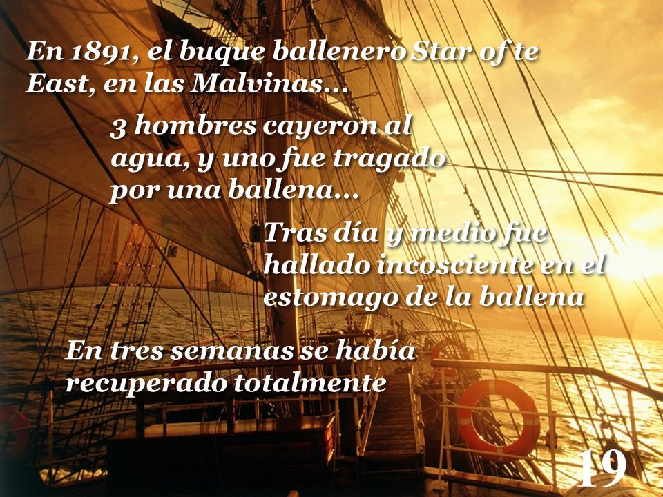 19 En 1891, el buque ballenero Star of te East, en las Malvinas...