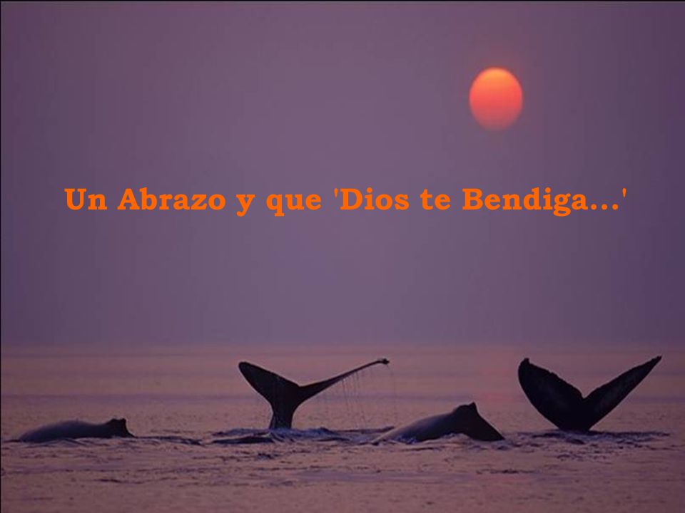 Un Abrazo y que Dios te Bendiga...