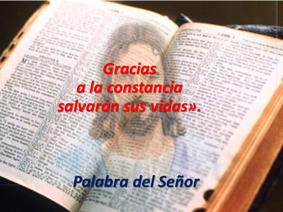 Gracias a la constancia salvarán sus vidas». Palabra del Señor