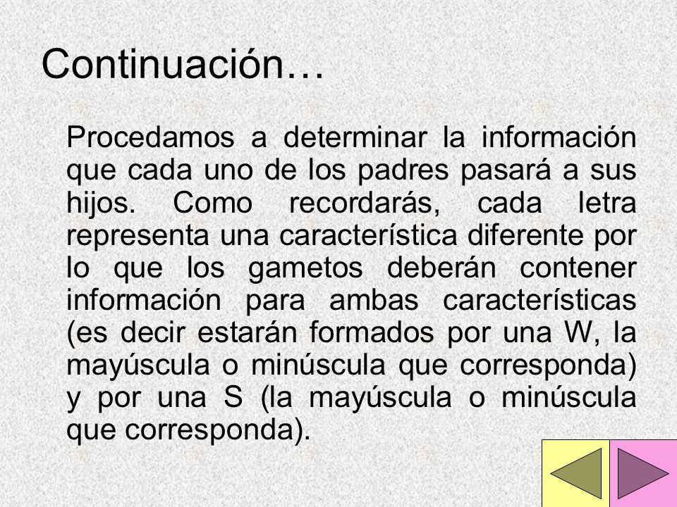 Continuación…