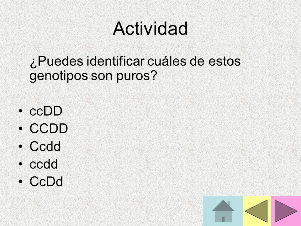 Actividad ¿Puedes identificar cuáles de estos genotipos son puros