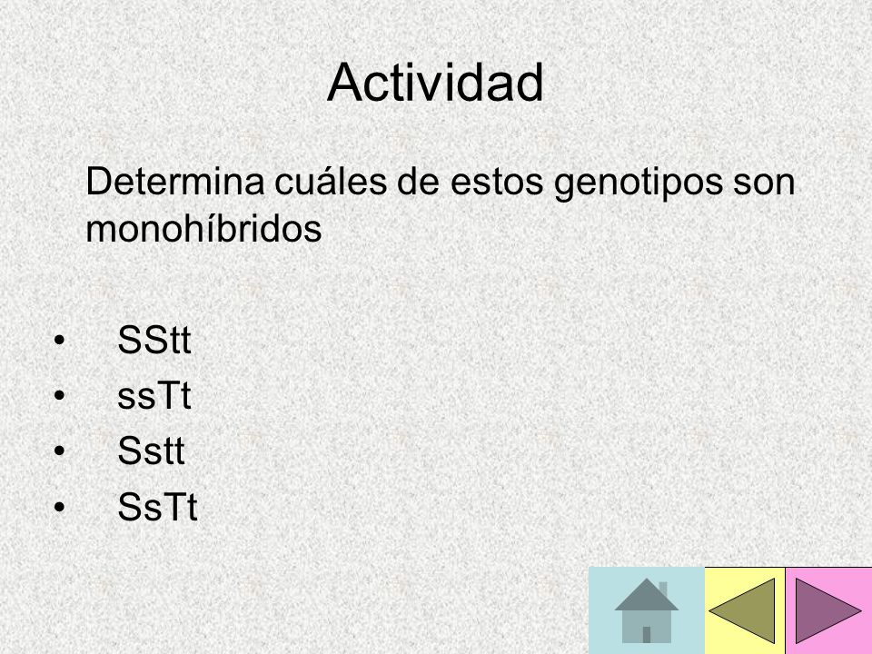 Actividad Determina cuáles de estos genotipos son monohíbridos SStt