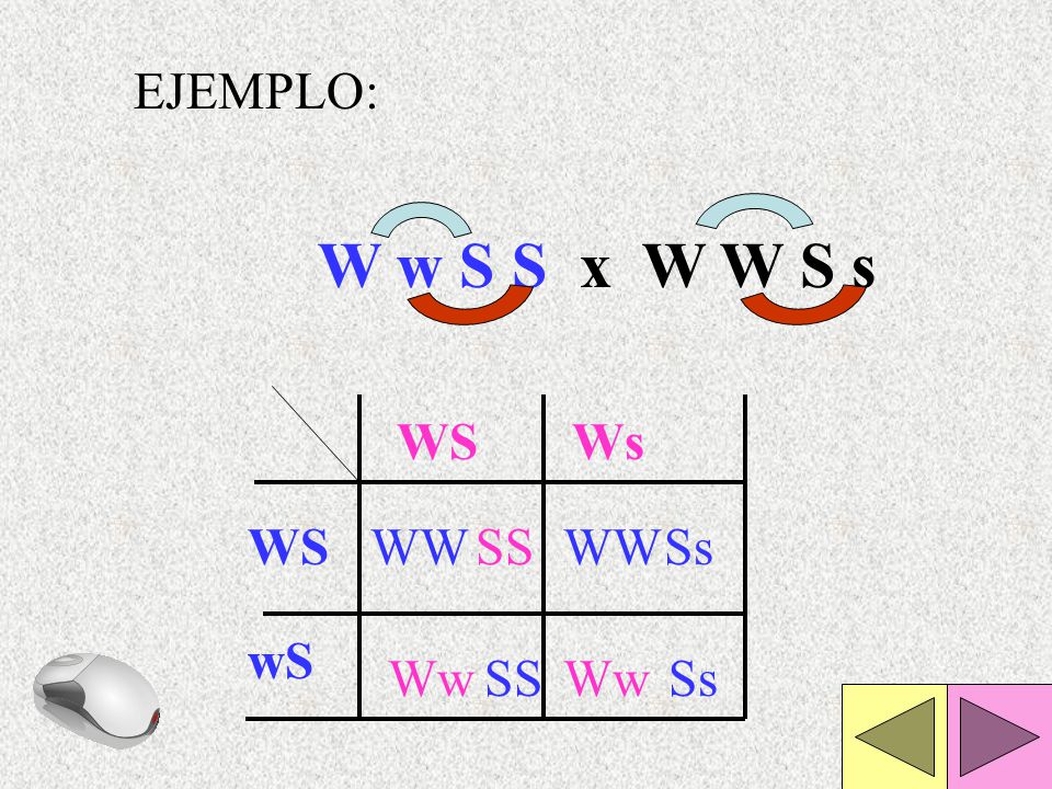 EJEMPLO: W w S S x W W S s WS Ws WS WW SS WW Ss wS Ww SS Ww Ss