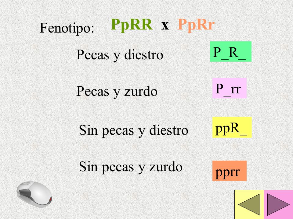 PpRR x PpRr Fenotipo: P_R_ Pecas y diestro P_rr Pecas y zurdo ppR_