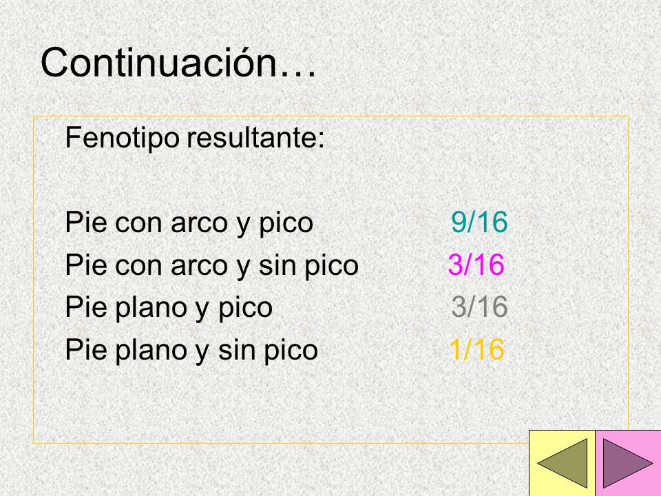 Continuación… Fenotipo resultante: Pie con arco y pico 9/16