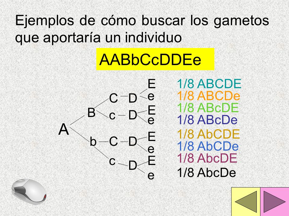 Ejemplos de cómo buscar los gametos que aportaría un individuo