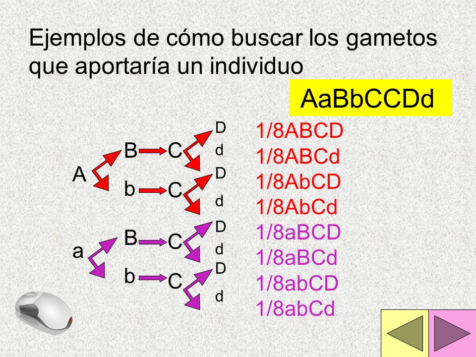 Ejemplos de cómo buscar los gametos que aportaría un individuo