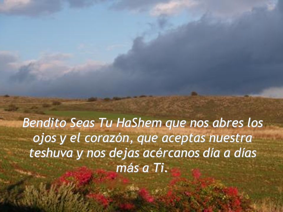 Bendito Seas Tu HaShem que nos abres los ojos y el corazón, que aceptas nuestra teshuva y nos dejas acércanos día a días más a Ti.