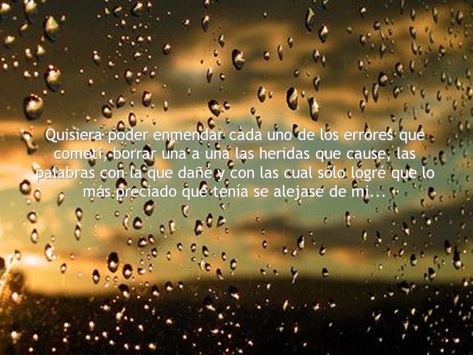 Quisiera poder enmendar cada uno de los errores que cometí, borrar una a una las heridas que cause, las palabras con la que dañé y con las cual sólo logré que lo más preciado que tenía se alejase de mi...