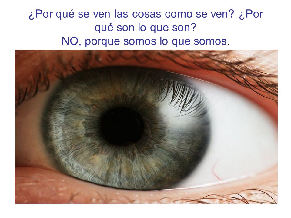 ¿Por qué se ven las cosas como se ven. ¿Por qué son lo que son