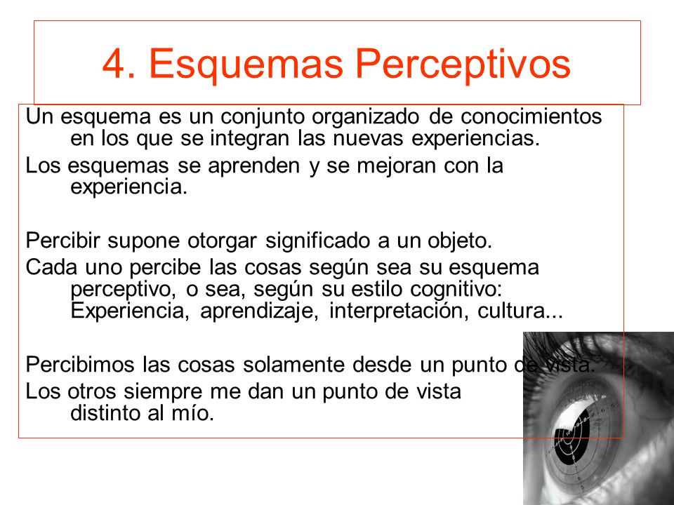 4. Esquemas Perceptivos Un esquema es un conjunto organizado de conocimientos en los que se integran las nuevas experiencias.
