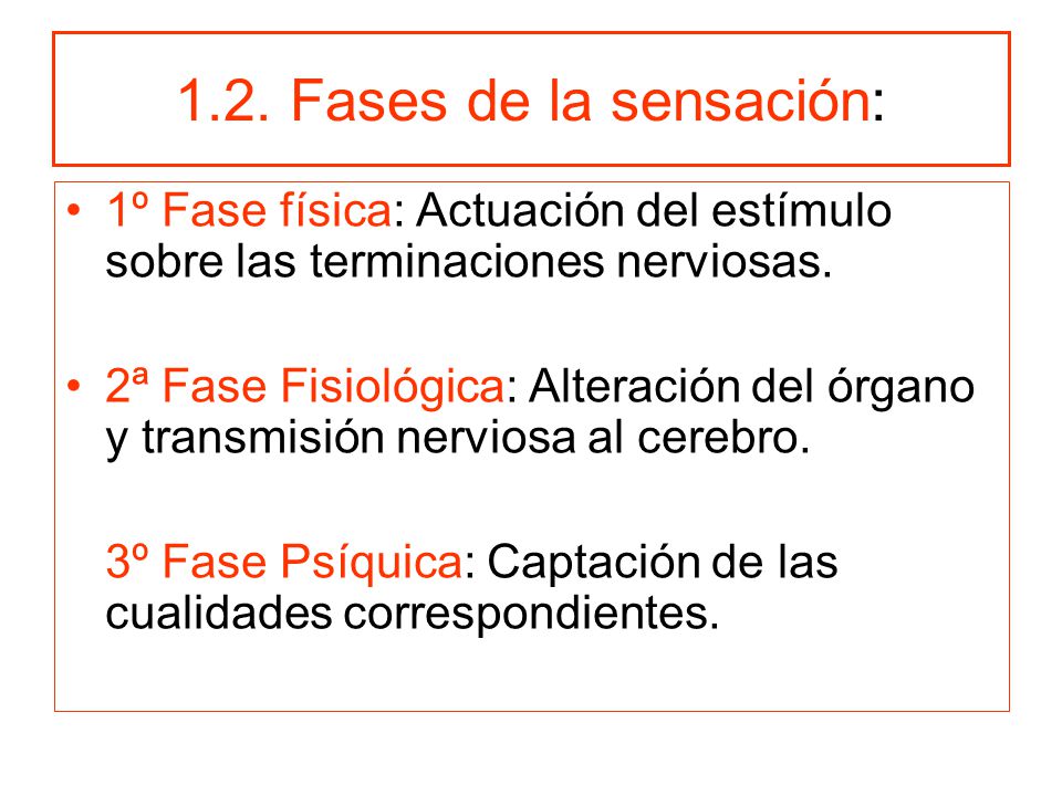 1.2. Fases de la sensación: 1º Fase física: Actuación del estímulo sobre las terminaciones nerviosas.