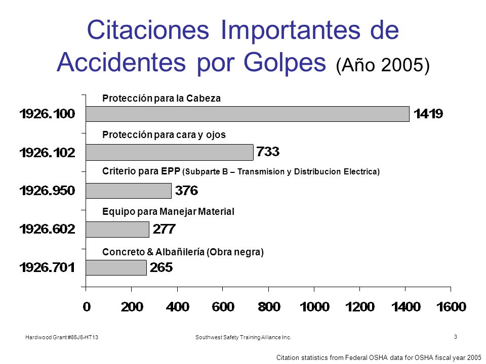 Citaciones Importantes de Accidentes por Golpes (Año 2005)