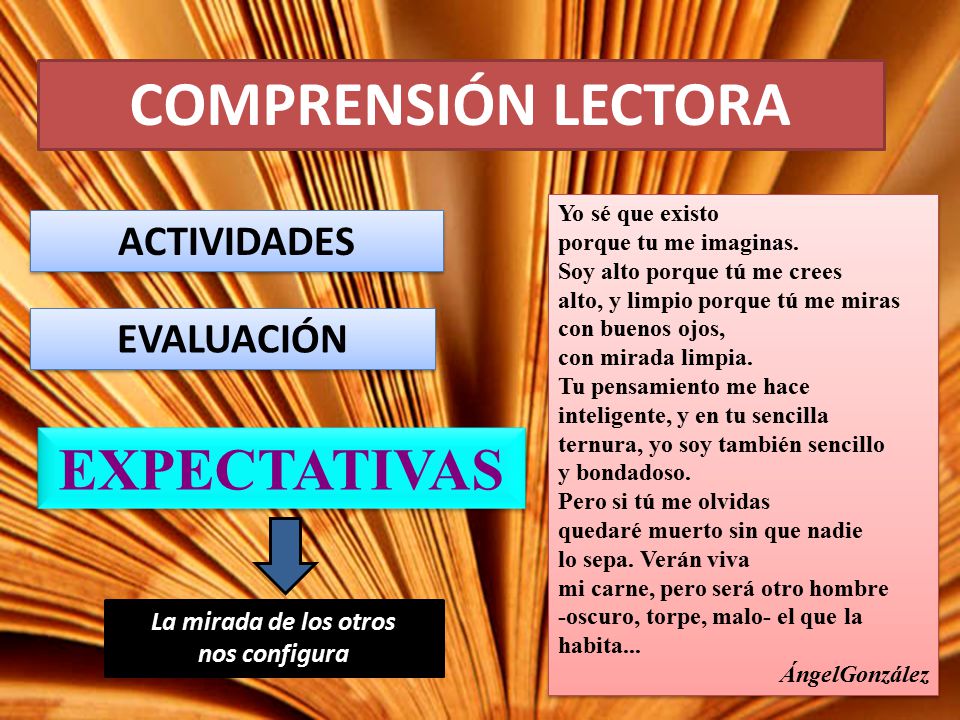 COMPRENSIÓN LECTORA EXPECTATIVAS ACTIVIDADES EVALUACIÓN