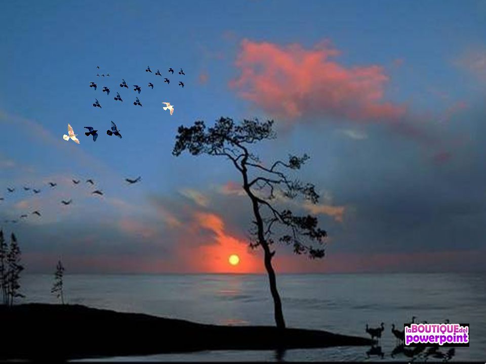 A veces es mejor vivir en los sueños, que despertar y volver a la realidad