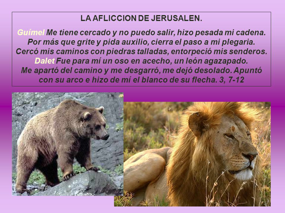 LA AFLICCION DE JERUSALEN.
