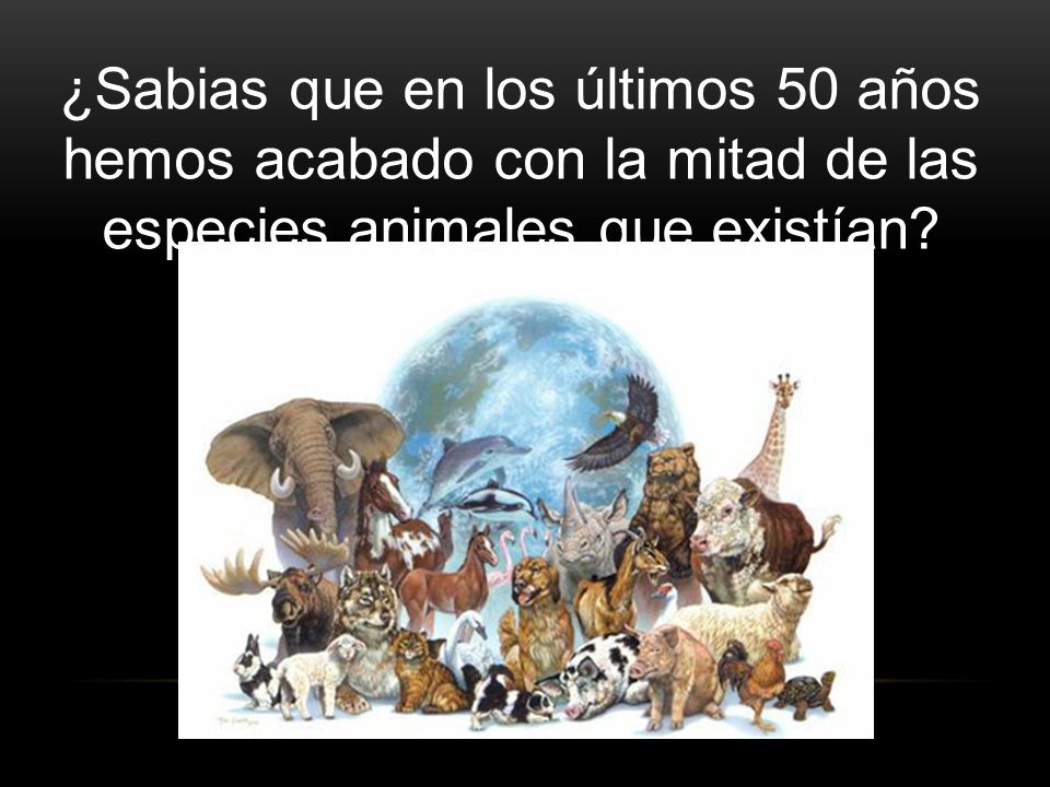 ¿Sabias que en los últimos 50 años hemos acabado con la mitad de las especies animales que existían