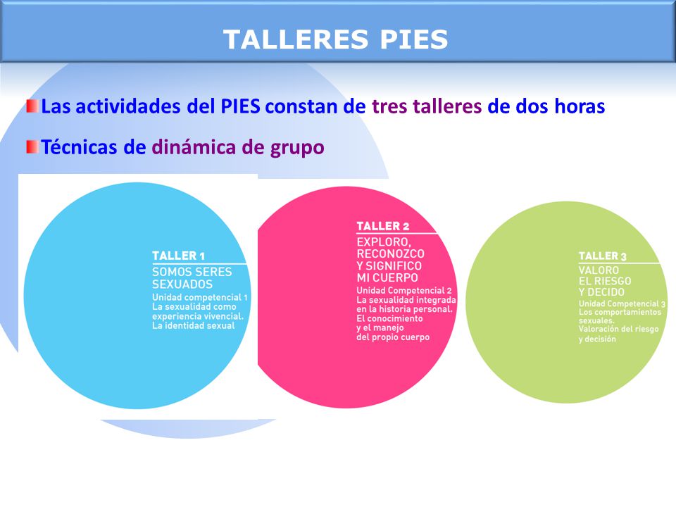 TALLERES PIES Las actividades del PIES constan de tres talleres de dos horas.