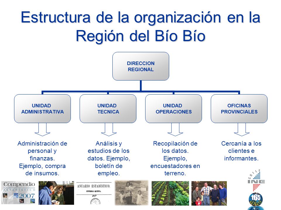 Estructura de la organización en la Región del Bío Bío
