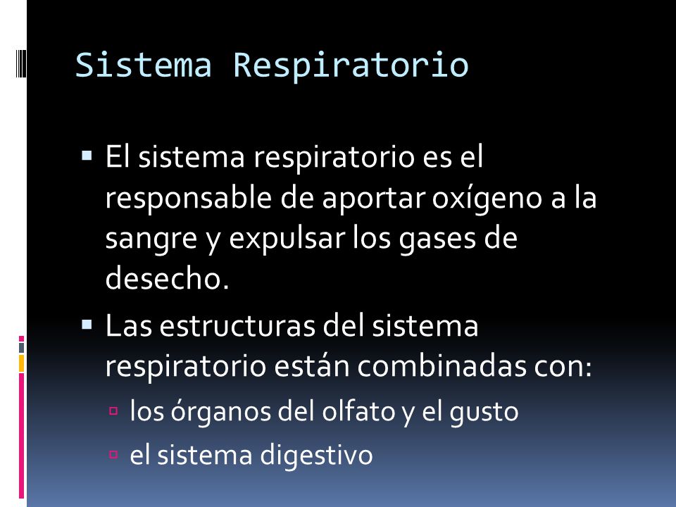Sistema Respiratorio El sistema respiratorio es el responsable de aportar oxígeno a la sangre y expulsar los gases de desecho.