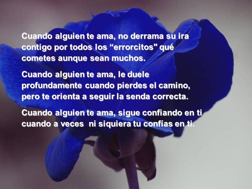 Cuando alguien te ama, no derrama su ira contigo por todos los errorcitos qué cometes aunque sean muchos.