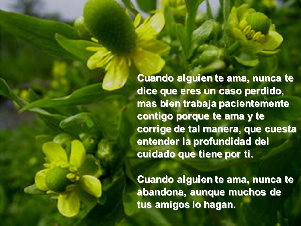 Cuando alguien te ama, nunca te dice que eres un caso perdido, mas bien trabaja pacientemente contigo porque te ama y te corrige de tal manera, que cuesta entender la profundidad del cuidado que tiene por ti.
